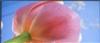 三星LA32A550P1R
