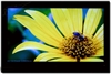 LG 32LG31RC-TA