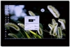 LG 32LG31RC-TA