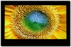 LG 32LG31RC-TA