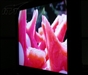 SONY KLV-32J400A