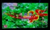 创维47L18RM