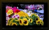 SONY KLV-52X300A