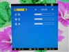 BenQ VP1901