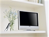 BenQ VP1901