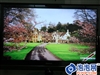 海信TLM4628