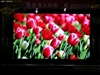 SONY KLV-52X200A