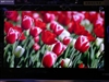 TCL L46H61F