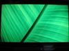 海信TLM3788P