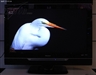 海信TLM4288P