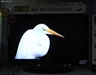 三星LA40M81B