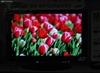 三星LA40M81B