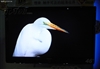 三星LA46M81B