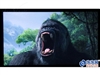 夏新IPTV W40LCD