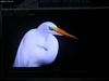 创维52L16HF