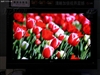 LG 42LB7RF