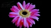 东芝37C3000C