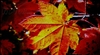 东芝37C3000C