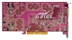 万邦龙 GeForce FX5900