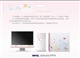 BenQ E900WN-AUC