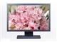 BenQ FP222W