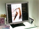 BenQ FP71G+S