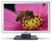 Acer AL2416W