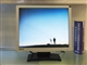 BenQ FP91G+u