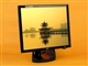 LG L1900R