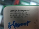 AMD 闪龙64 LE-1300(散)