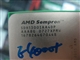AMD 闪龙64 LE-1300(散)