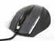精灵 Ergo555