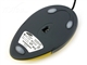PLEOMAX PLEOMAX SPM-4000海豚鼠