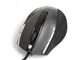 精灵 Ergo555