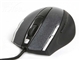 精灵 Ergo555