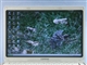 惠普 Compaq Presario V2009AP(PH470PA)