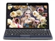 MSI Wind U210-010
