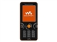 索尼爱立信 W610c
