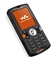 索尼爱立信 W810c