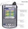 Palm Tungsten W