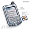 Palm Tungsten W