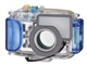 佳能 IXUS 100 IS