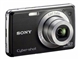SONY W220