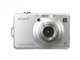 SONY W100