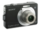 SONY W100