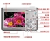 SONY DSC-T11