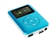 新科 SK310(2G)