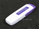 Kingston DataTraveler(4GB)
