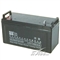 IEAS KD6FM100(12V100AH)