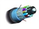 AMP 室外6芯多模铠装松管型光缆(62.5/125)/1-1664165-5